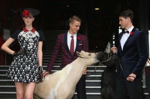 myer_promotion_miss_c__mirror12web.jpg