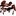 favicon.ico