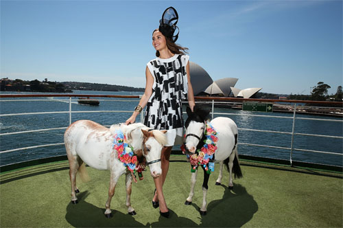 521092219BT009_P_O_Cruises_small.jpg