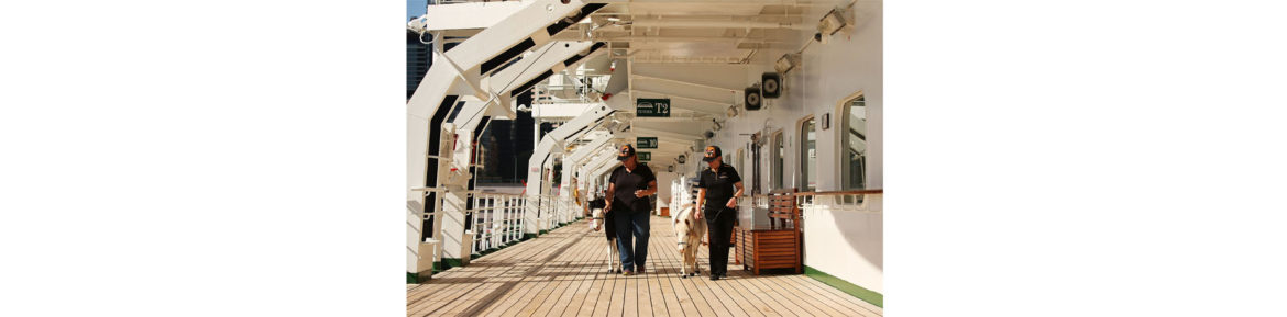521092219BT028_P_O_Cruises_small.jpg