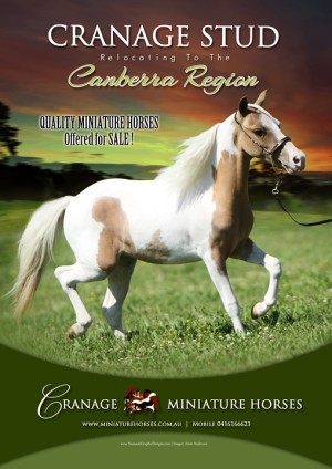 facebook-cranagestud-relocation-finalresized.jpg