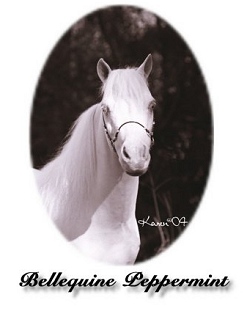mintyheadwhite.jpg